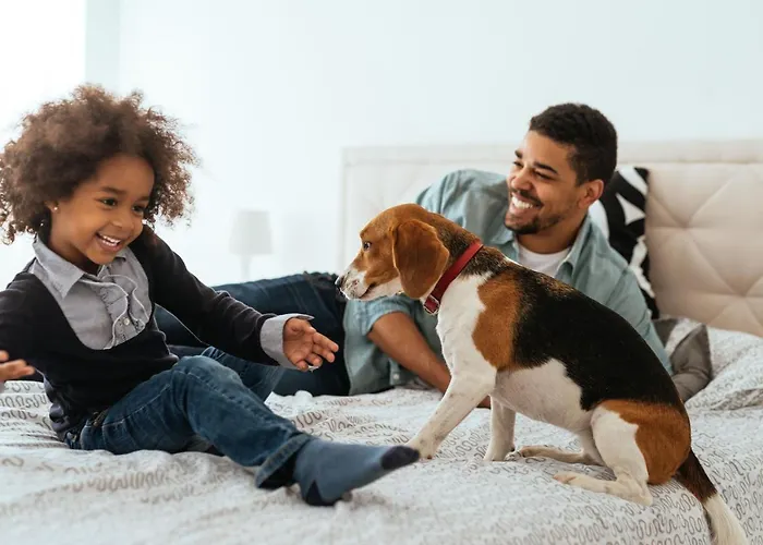 Citadines Ramblas 3*